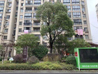 施家园最新爆料,揭秘娱乐圈惊天秘密 第2张 施家园最新爆料,揭秘娱乐圈惊天秘密 第2张